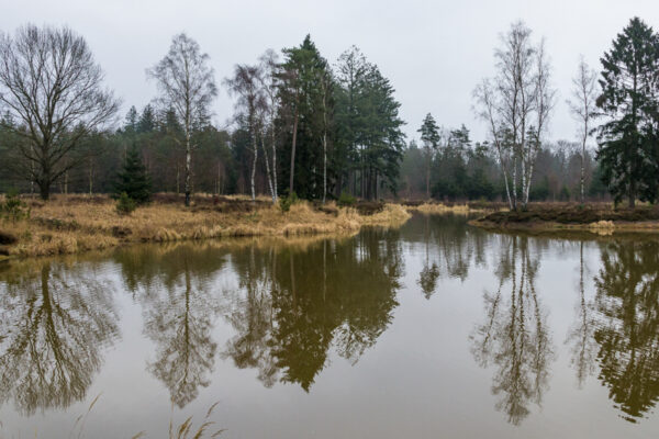 NFFW-2022-januari-11  Gerretse, Joop