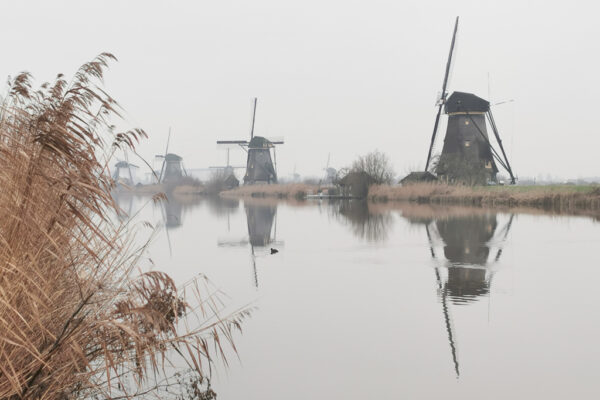NFFW-2022-februari-04