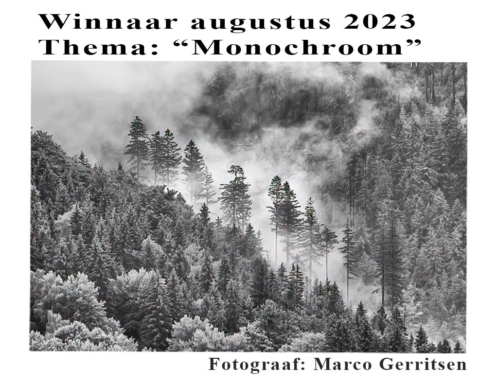 Uitslag Fotowedstrijd Augustus Monochroom Natuurfocus